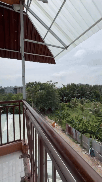 Cho thuê Căn hộ Chung cư Thành phố Thủ Đức Tp Hồ Chí Minh diện tích 35 m² giá 4 triệu/tháng