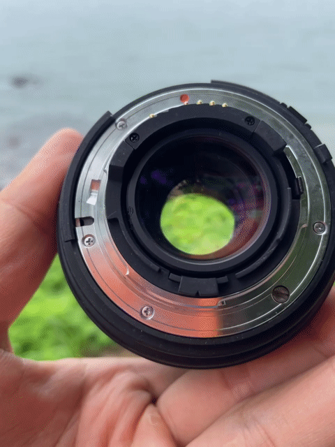 Máy ảnh Nikon D300s Đã qua sử dụng. Mua bán Máy ảnh, Máy quay tại Thành phố Vũng Tàu Bà Rịa - Vũng Tàu được đăng bởi Hoàng Lê hình 1