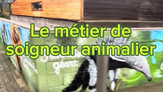 Soigneur Animalier