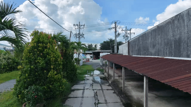 Mua bán Đất Huyện Châu Thành Tiền Giang diện tích 8045 m² giá 47 tỷ