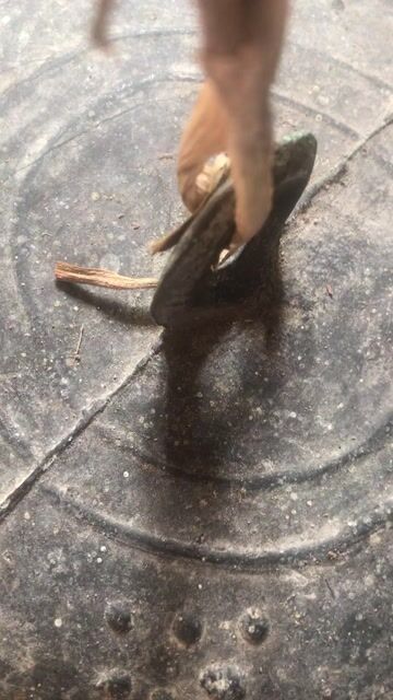 Nắp nồi đồng đồ cổ màu đen. Mua bán Nội thất, đồ gia dụng khác tại Huyện Giao Thủy Nam Định được đăng bởi Meefm hình 1