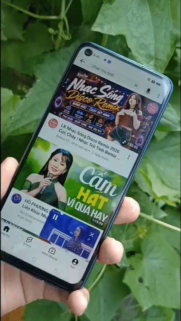 Oppo A74 5G 8GB/256GB Xanh Hỗ trợ 5G. Mua bán Điện thoại tại Quận 12 Tp Hồ Chí Minh được đăng bởi MitPhôn hình 1