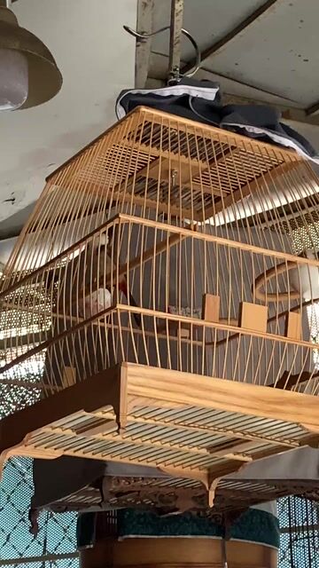 Cả bộ chim lồng. Mua bán Chim tại Quận 10 Tp Hồ Chí Minh được đăng bởi Trường Nguyễn  hình 1