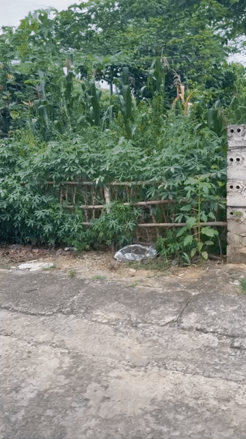 Mua bán Đất Huyện Quốc Oai Hà Nội diện tích 134 m² giá 5 tỷ