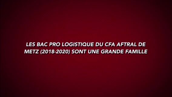 Bac Pro Logistique Aftral Metz