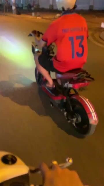 Xe điện 133s 4 bình to khoẻ. Mua bán Xe điện tại Quận Thanh Xuân Hà Nội được đăng bởi Hồng anh hình 1