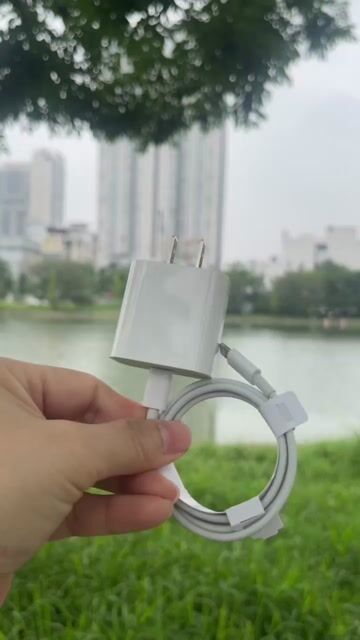 Sạc iphone  5-17 Type-C và Type-L. Mua bán Phụ kiện (Màn hình, Chuột...) tại Quận Cầu Giấy Hà Nội được đăng bởi Hoài Nguyễn  hình 1