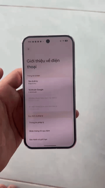 Pixel 9 pro 16/256. Mua bán Điện thoại tại Huyện Châu Thành Long An được đăng bởi Thái hình 1