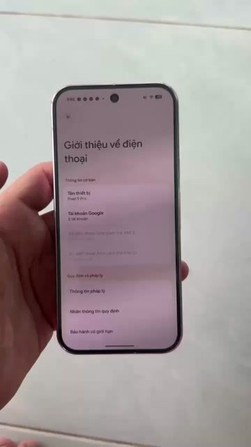 Pixel 9 pro 16/256. Mua bán Điện thoại tại Huyện Châu Thành Long An được đăng bởi Thái hình 1