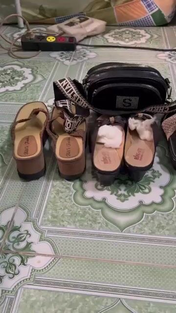 Dép và túi xách Nữ size 39. Mua bán Giày dép tại Thành phố Dĩ An Bình Dương được đăng bởi ken hình 1