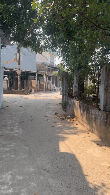 Mua bán Đất Quận Liên Chiểu Đà Nẵng diện tích 100 m² giá 1,75 tỷ