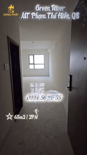 Mua bán Căn hộ Chung cư Green River - Quận 8 Quận 8 Tp Hồ Chí Minh diện tích 65 m² giá 2,77 tỷ