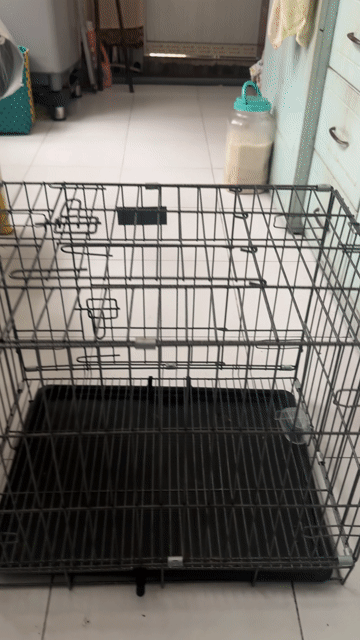 lồng chó. Mua bán Phụ kiện, Thức ăn, Dịch vụ tại Quận 5 Tp Hồ Chí Minh được đăng bởi Aka Phạm hình 1