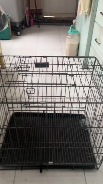 lồng chó. Mua bán Phụ kiện, Thức ăn, Dịch vụ tại Quận 5 Tp Hồ Chí Minh được đăng bởi Aka Phạm hình 1