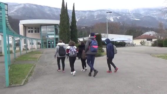 Dans la serre des Titis