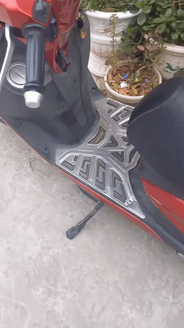 Honda Acruzo 2016 màu Đỏ. Mua bán Xe máy tại Huyện An Dương Hải Phòng được đăng bởi ngocphuong hình 1