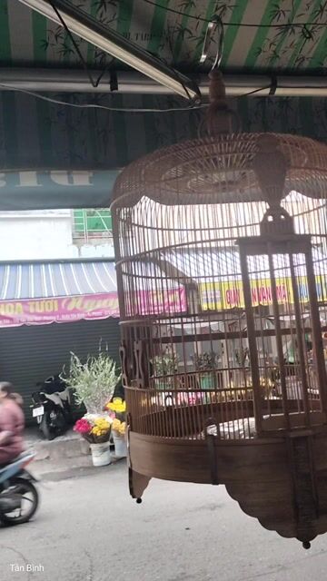 Lồng chim Tre 68 nan Mới 100%. Mua bán Chim tại Quận Tân Bình Tp Hồ Chí Minh được đăng bởi Đam mê 1Thời hình 1
