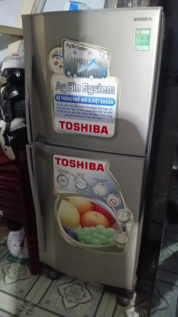 Tủ lạnh Toshiba 185L Bạc. Mua bán Tủ lạnh tại Thành phố Thuận An Bình Dương được đăng bởi YAN hình 1