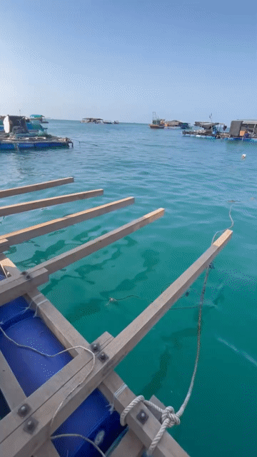 Mua bán Nhà ở Huyện Kiên Hải Kiên Giang diện tích 52 m² giá 170 triệu