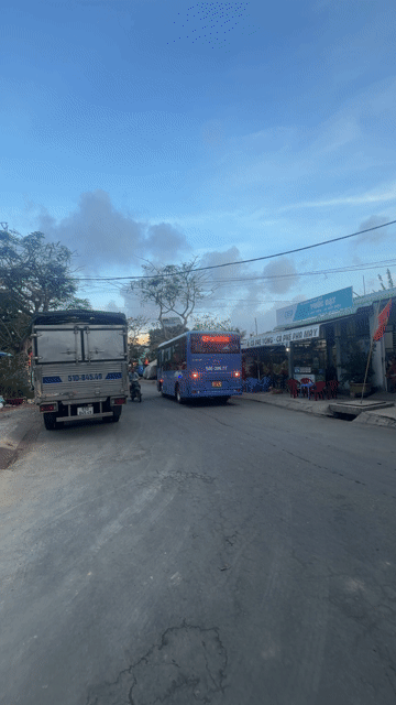 Cho thuê Đất Huyện Cần Giờ Tp Hồ Chí Minh diện tích 280 m² giá 16 triệu/tháng