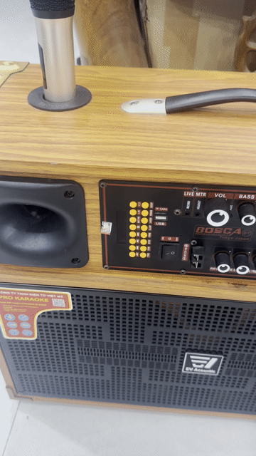 Loa karaoke EV Acoustic IPL 4225. Mua bán Tivi, Âm thanh tại Thành phố Nam Định Nam Định được đăng bởi Minh Thu hình 1