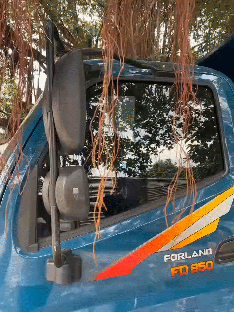 FORLAND FD850 2024. Mua bán Xe tải, xe ben tại Quận 12 Tp Hồ Chí Minh được đăng bởi Oanh Nguyen hình 1