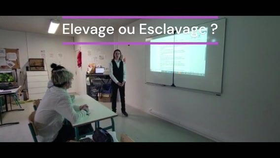 Elevage ou Esclavage?