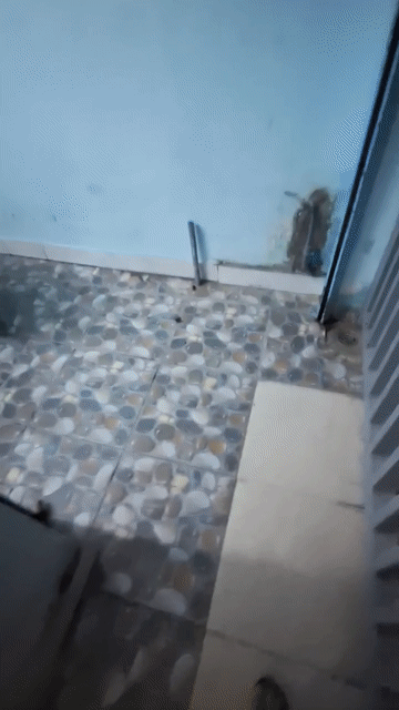 Mua bán Nhà ở Quận 7 Tp Hồ Chí Minh diện tích 50 m² giá 4,5 tỷ