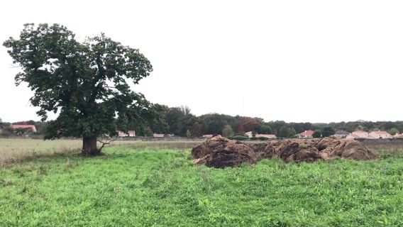 l'agriculture en harmonie avec son environnement