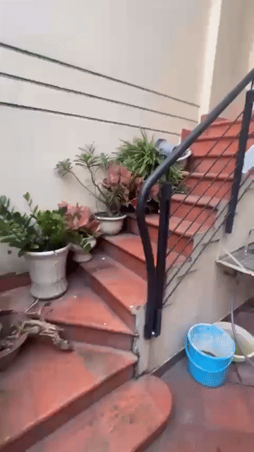 Cho thuê Phòng trọ Quận Gò Vấp Tp Hồ Chí Minh diện tích 25 m² giá 5 triệu/tháng