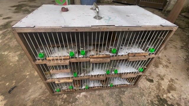 Lồng chim gỗ nan cáp. Mua bán Phụ kiện, Thức ăn, Dịch vụ tại Quận Cái Răng Cần Thơ được đăng bởi Long hình 1