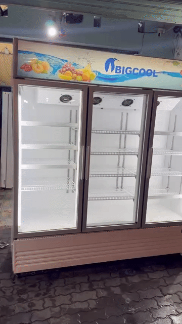 Tủ mát BIGCOOL 1700L 3 cánh. Mua bán Tủ lạnh tại Quận 7 Tp Hồ Chí Minh được đăng bởi Trần Hoa hình 1