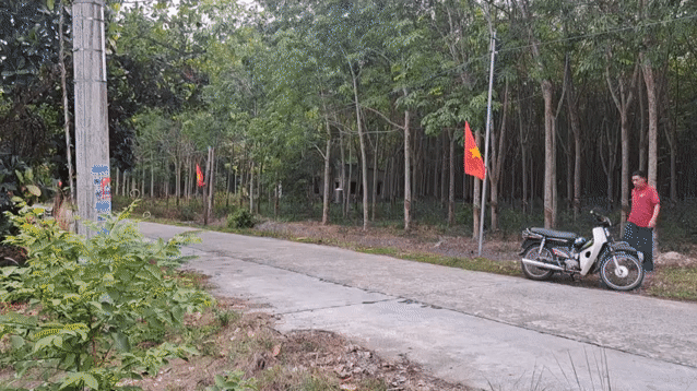 Mua bán Đất Huyện Hớn Quản Bình Phước diện tích 10000 m² giá 7,5 tỷ