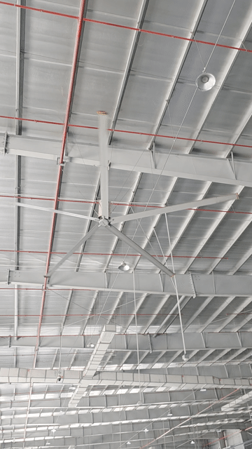 thanh lý gấp. Mua bán Quạt tại Thành phố Thủ Đức Tp Hồ Chí Minh được đăng bởi Toản hình 1
