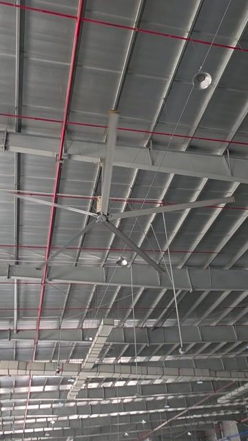 thanh lý gấp. Mua bán Quạt tại Thành phố Thủ Đức Tp Hồ Chí Minh được đăng bởi Toản hình 1