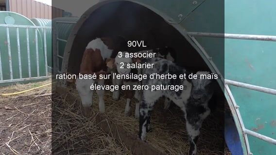 une journée d'un éleveur laitier