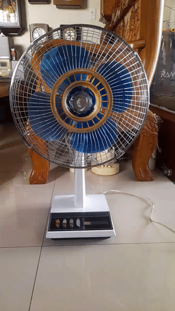 Quạt bàn Toshiba 30cm thân gang hàng Nhật điện 100. Mua bán Quạt tại Huyện An Lão Hải Phòng được đăng bởi MẠNH CƯỜNG hình 1