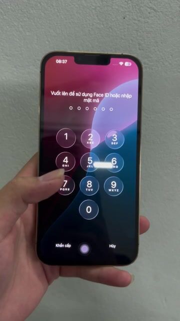 iPhone 13 Pro Max 128GB Vàng. Mua bán Điện thoại tại Huyện Tam Đảo Vĩnh Phúc được đăng bởi TẠ TUẤN ANH hình 1