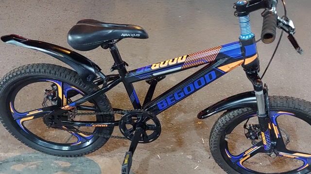 Xe đạp thể thao nam 20 inch. Mua bán Xe đạp tại Thành phố Thủ Đức Tp Hồ Chí Minh được đăng bởi Phạm hải Nam hình 1