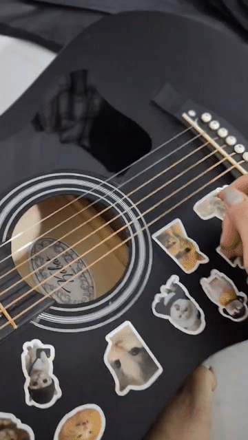 Đàn guitar Gỗ Đen. Mua bán Nhạc cụ tại Thành phố Tân An Long An được đăng bởi Dương Phúc Thiện hình 1