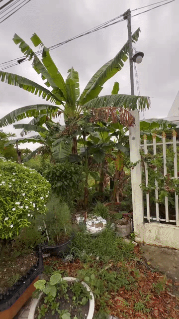 Mua bán Đất Huyện Trà Ôn Vĩnh Long diện tích 170 m² giá 2,1 tỷ