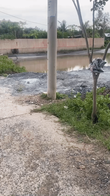 Mua bán Đất Huyện Cần Giờ Tp Hồ Chí Minh diện tích 547.5 m² giá 3,6 tỷ