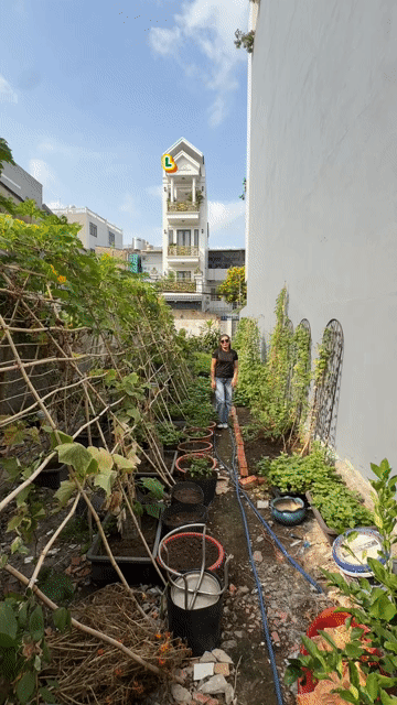 Mua bán Đất Quận Tân Phú Tp Hồ Chí Minh diện tích 100 m² giá 7 tỷ