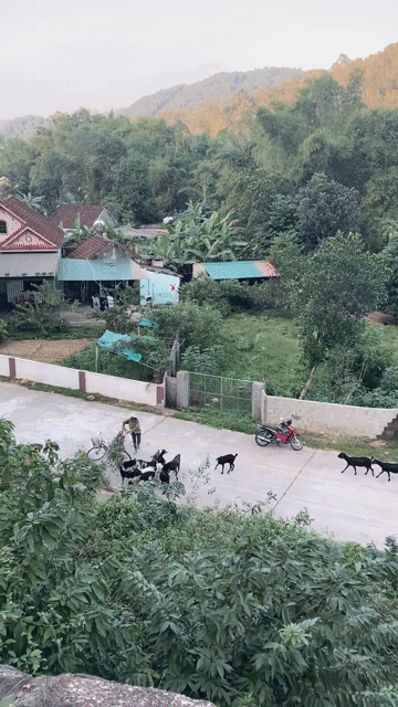 Mua bán Đất Thị xã Hồng Lĩnh Hà Tĩnh diện tích 267 m² giá 1,29 tỷ