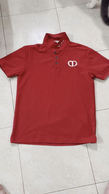 Áo polo Dior nam size L. Mua bán Quần áo tại Huyện Hóc Môn Tp Hồ Chí Minh được đăng bởi Le Duy hình 1