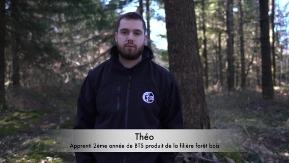BTS ACHETEUR Exploitation filière bois