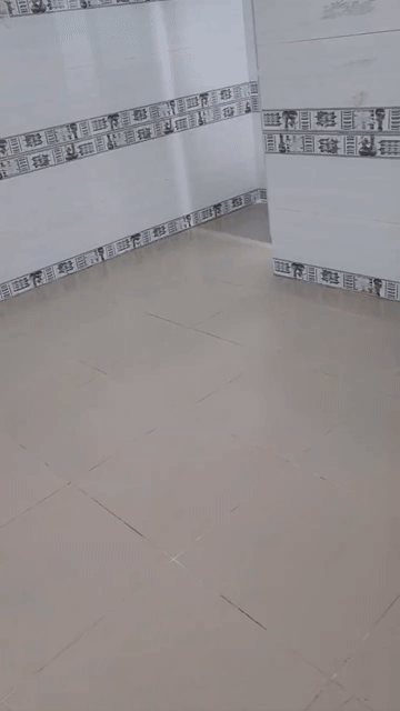 Cho thuê Phòng trọ Quận Gò Vấp Tp Hồ Chí Minh diện tích 20 m² giá 2,8 triệu/tháng