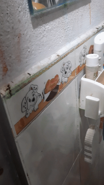 Chim cảnh đực nết dữ. Mua bán Chim tại Quận 1 Tp Hồ Chí Minh được đăng bởi uhp hình 1