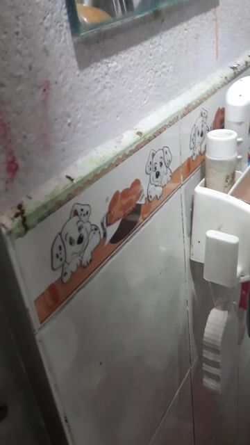Chim cảnh đực nết dữ. Mua bán Chim tại Quận 1 Tp Hồ Chí Minh được đăng bởi uhp hình 1