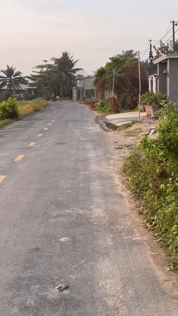 Mua bán Đất Huyện Cái Bè Tiền Giang diện tích 400 m² giá 1,3 tỷ